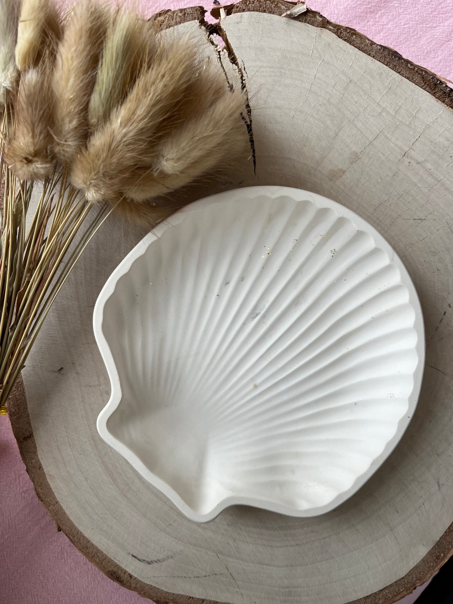 coquillage Triton