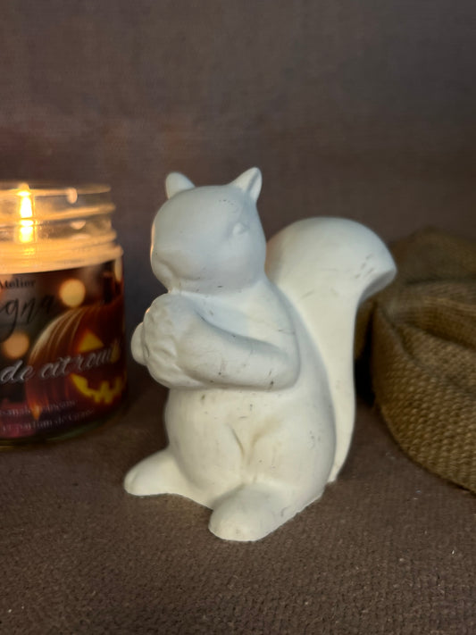 Le grand écureuil 🐿️