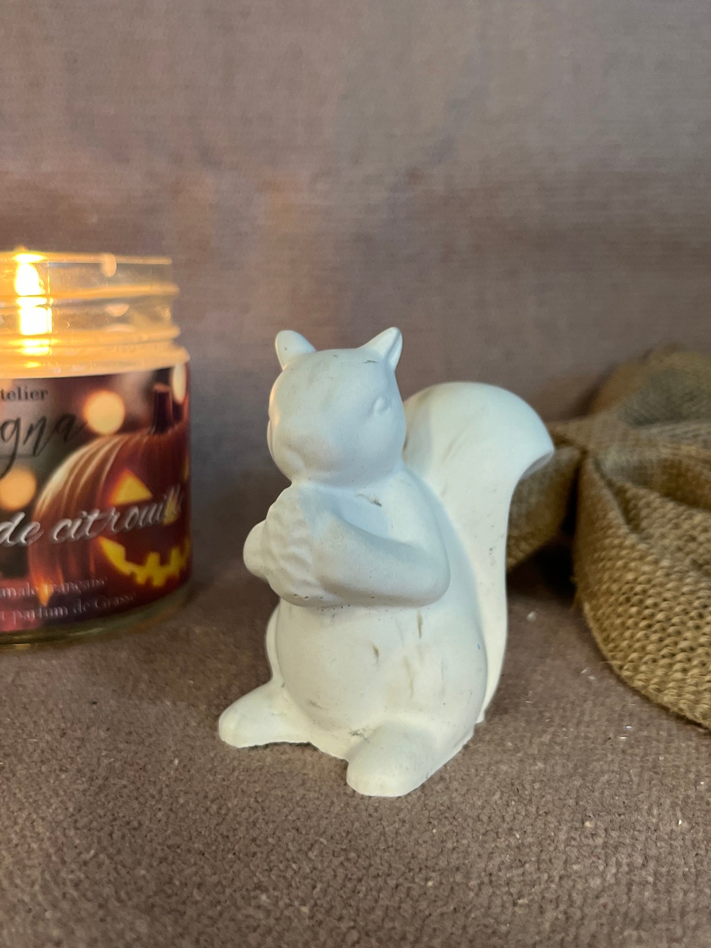 Le petit écureuil 🐿️