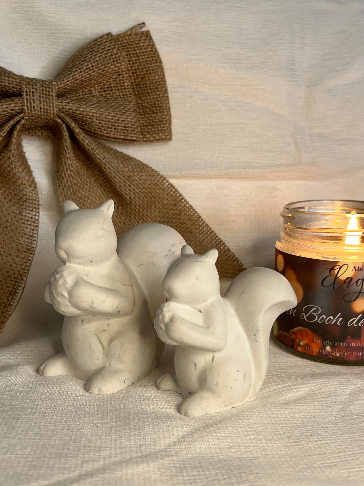 Le petit écureuil 🐿️