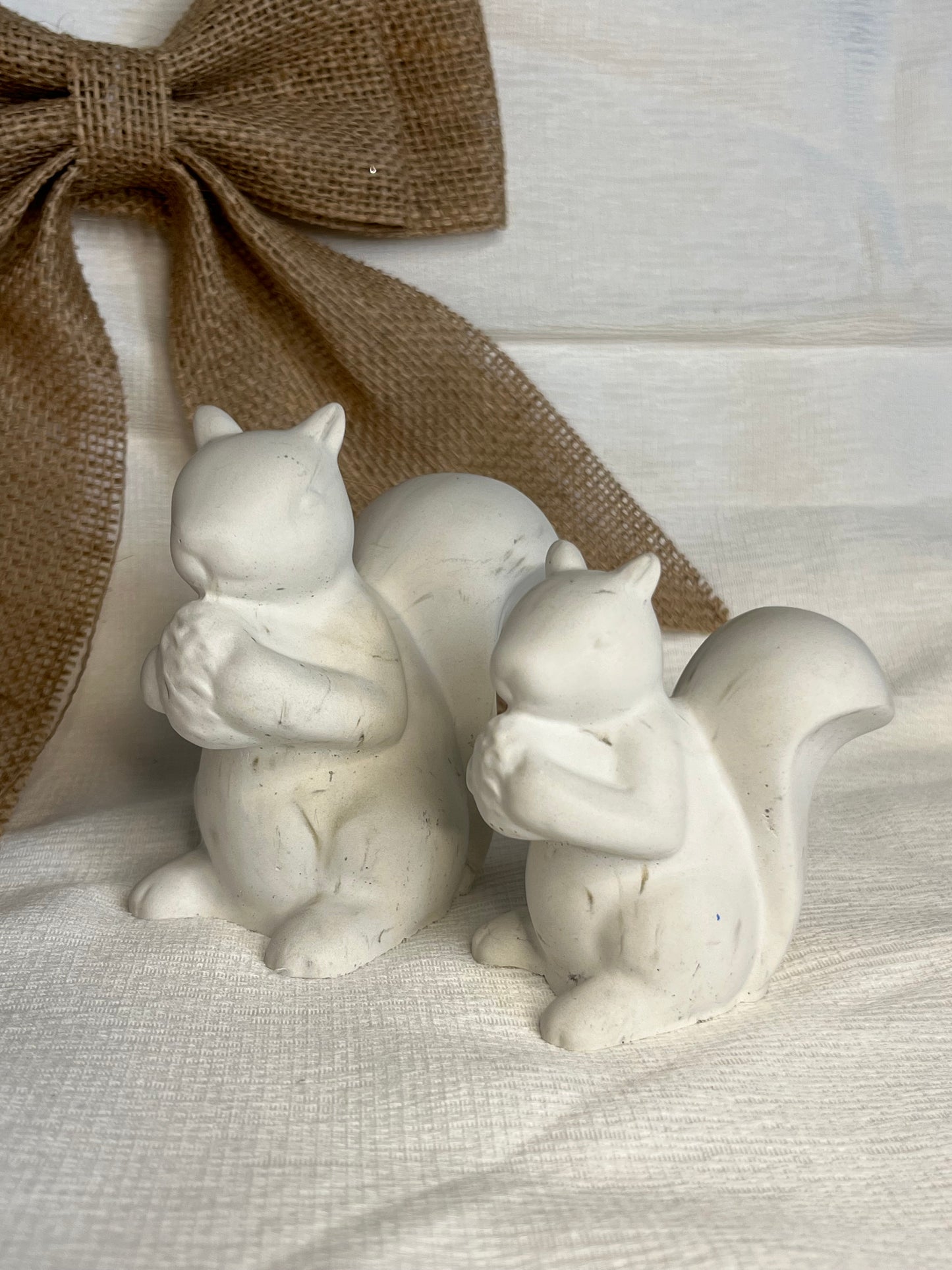 Le petit écureuil 🐿️